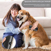 PetGlow™ : la spazzola professionale per la toelettatura