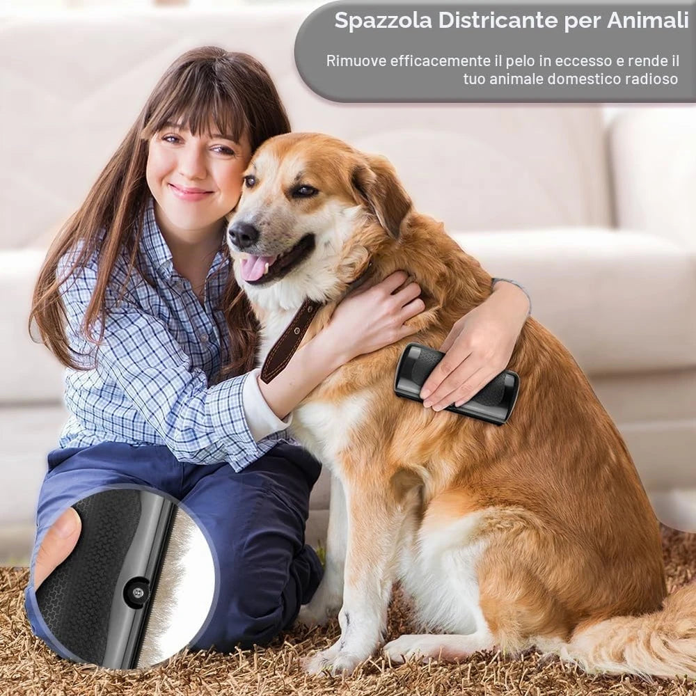 PetGlow™ : la spazzola professionale per la toelettatura
