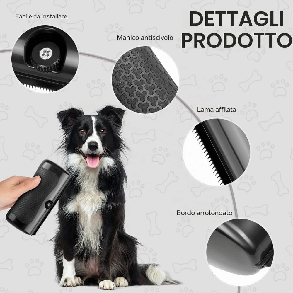 PetGlow™ : la spazzola professionale per la toelettatura