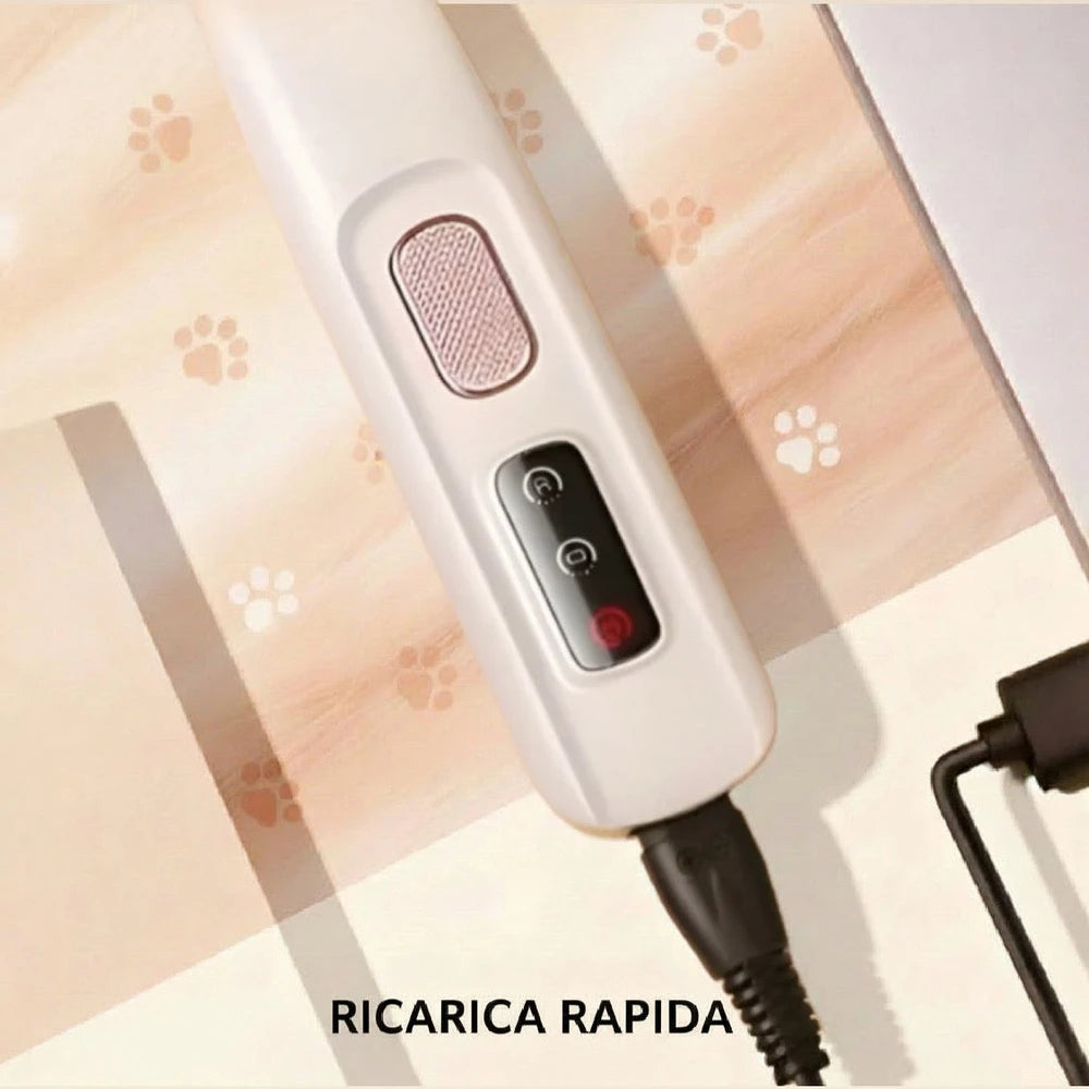 PawPure™: Toelettatura da Salone, Direttamente a Casa Tua