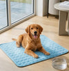 Nuvola Breeze™: Il Tappetino Rinfrescante che regala Relax al tuo Pet