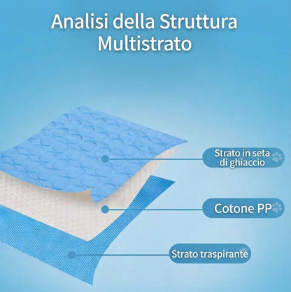 Nuvola Breeze™: Il Tappetino Rinfrescante che regala Relax al tuo Pet
