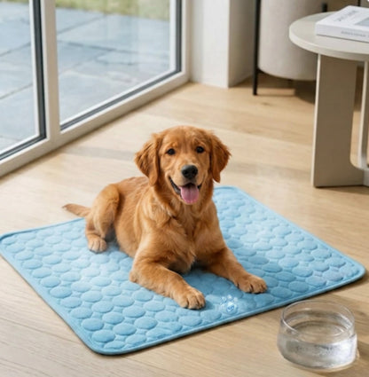 Nuvola Breeze™: Il Tappetino Rinfrescante che regala Relax al tuo Pet
